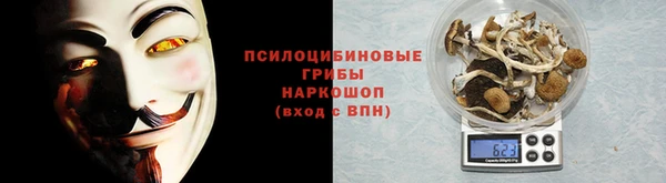 таблы Краснослободск