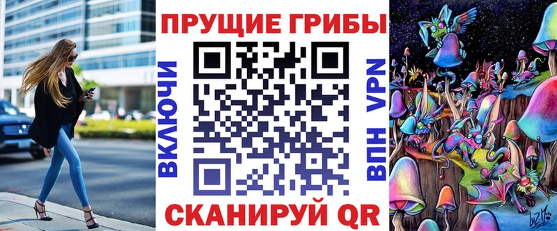где найти наркотики  сайты даркнета клад  Псилоцибиновые грибы Cubensis  Николаевск-на-Амуре 